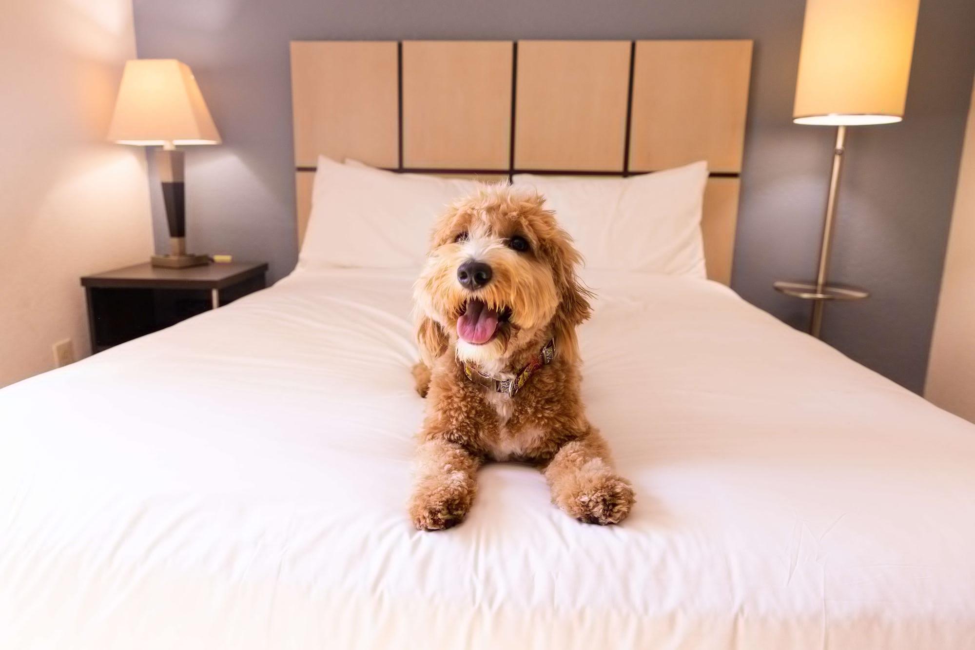 Sonesta Simply Suites Chicago Naperville Warrenville Bagian luar foto